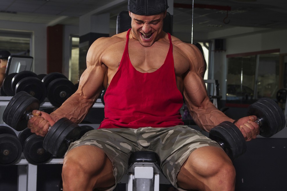 Kurzhantel-Curls (Schrägbank)