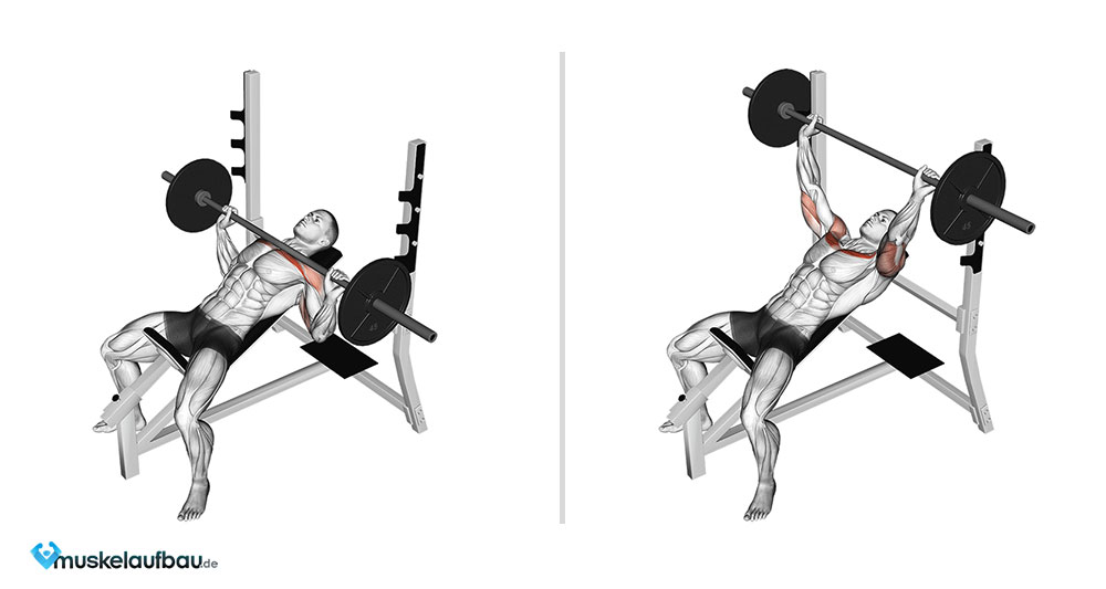 Schrägbankdrücken mit Langhantel: Effektive Techniken für Muskelaufbau und Brusttraining