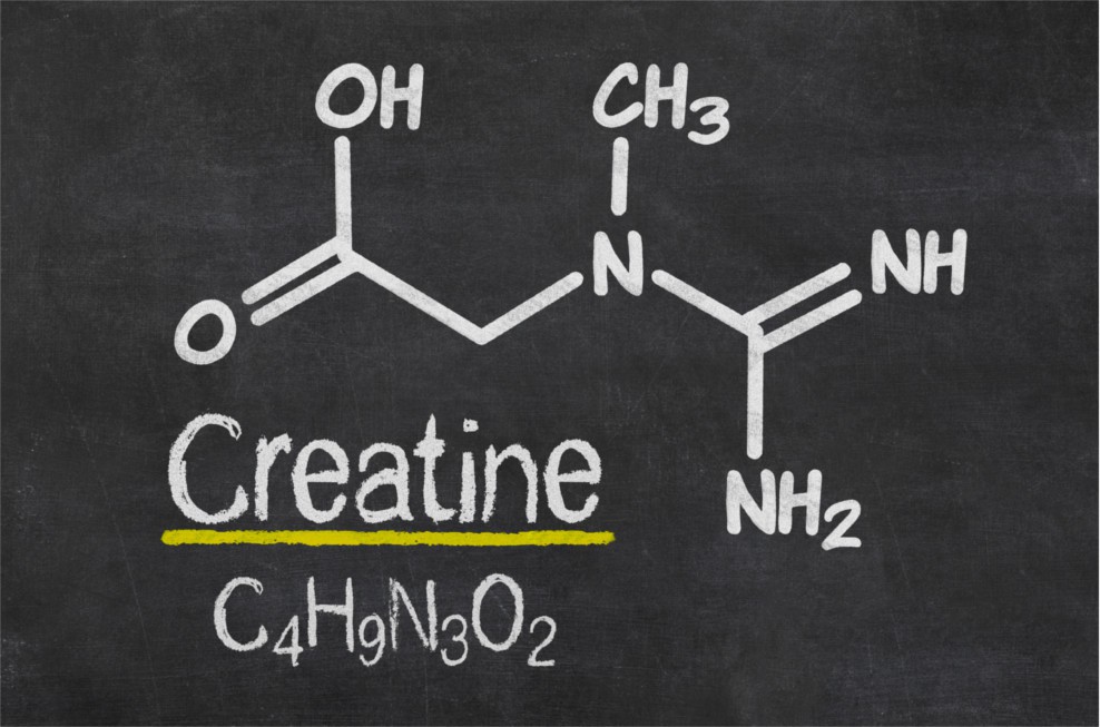 Kreatin-Kur – Pro und Contra